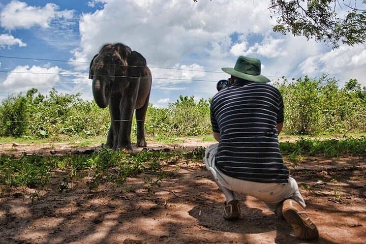 Yala Leopard Safari: Full-Day Jeep Drive with Expressway Transfer photo 5