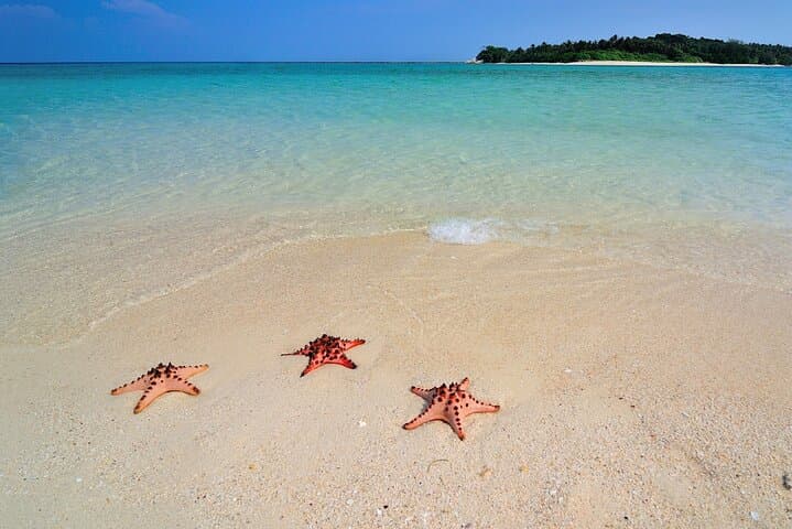 Little Boracay & Sandbar Snorkel: Calatagan Day Tour from Manila