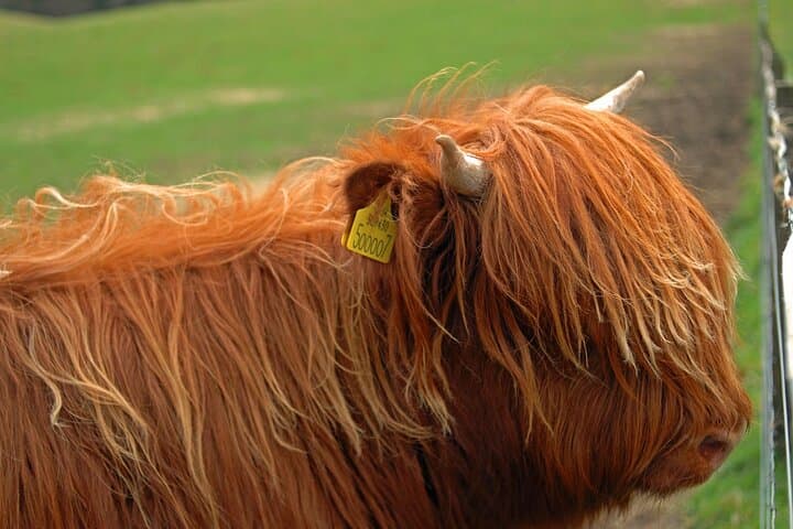 Loch Ness & Glencoe Day Tour from Edinburgh — Small-Group Highlands Experience photo 2