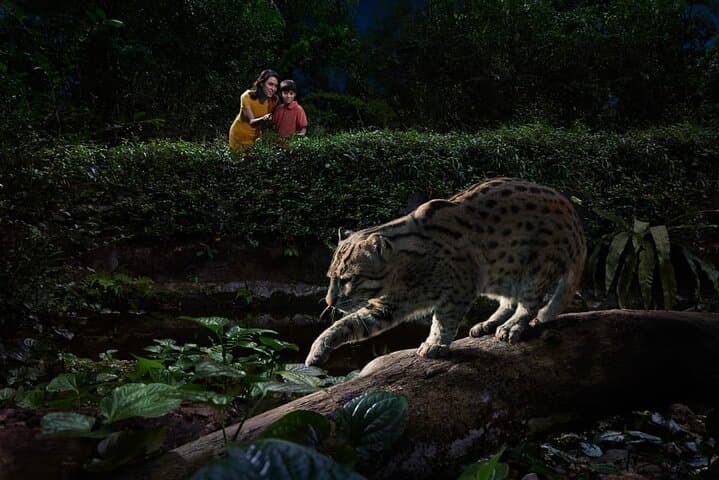Singapore Night Safari: After-Dusk Tram Ride & Walking Trails photo 4
