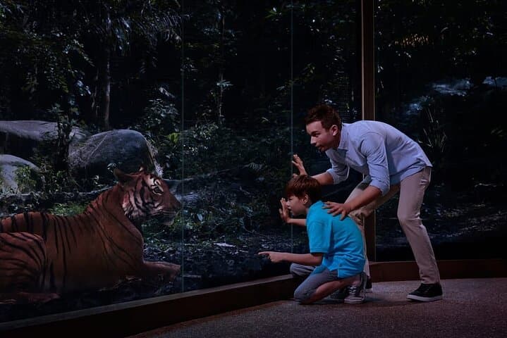 Singapore Night Safari: After-Dusk Tram Ride & Walking Trails photo 5