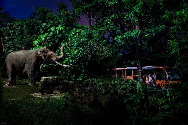 Singapore Night Safari: After-Dusk Tram Ride & Walking Trails photo 2