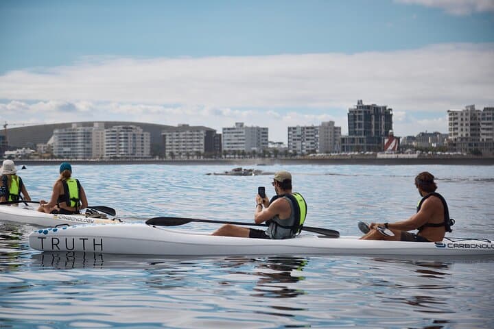 Sea Point Dolphin Kayak Adventure — Paddle with Dolphins and Marine Life in Cape Town photo 3