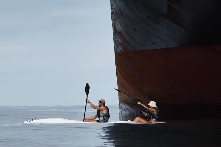 Sea Point Dolphin Kayak Adventure — Paddle with Dolphins and Marine Life in Cape Town photo 4