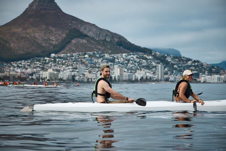 Sea Point Dolphin Kayak Adventure — Paddle with Dolphins and Marine Life in Cape Town photo 5