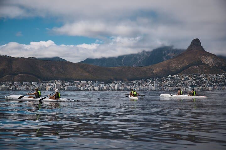 Sea Point Dolphin Kayak Adventure — Paddle with Dolphins and Marine Life in Cape Town photo 6