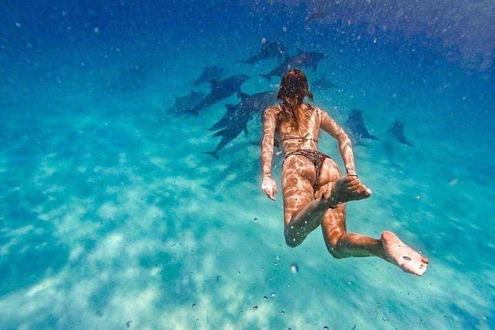 Mnemba Island Snorkeling & Dolphin Swim: Day Trip with Lunch from Zanzibar photo 1
