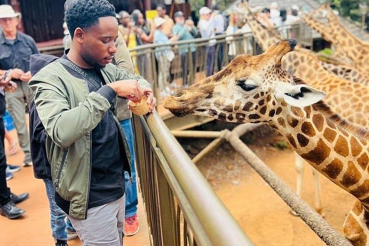 Nairobi National Park, Giraffe Centre & Carnivore Lunch — Full-Day Wildlife and Dining Tour