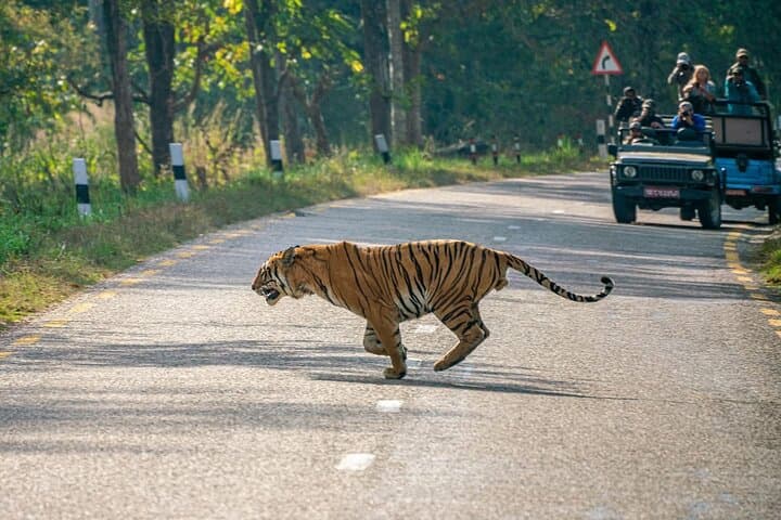 Bardia Jungle Safari: 5 Nights of Walking, Jeep Safaris & Karnali Rafting photo 5