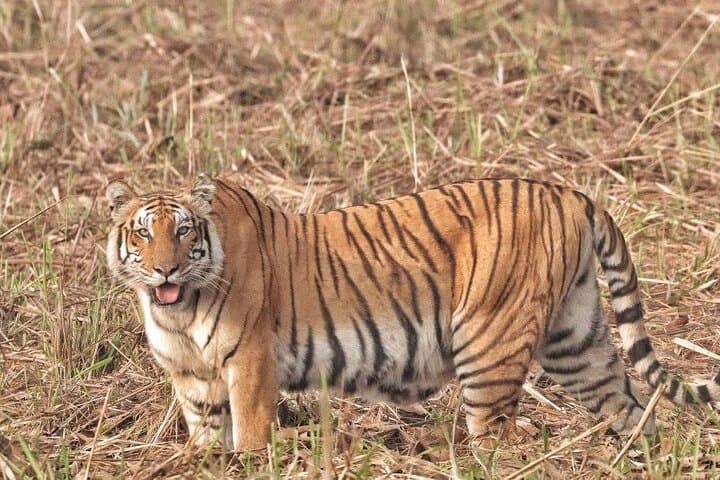 Bardia Jungle Safari: 5 Nights of Walking, Jeep Safaris & Karnali Rafting photo 3