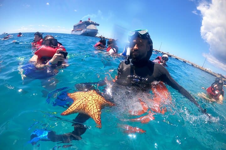 Snorkel with Sea Turtles at Frederiksted: St. Croix Turtle Cove Guide photo 3