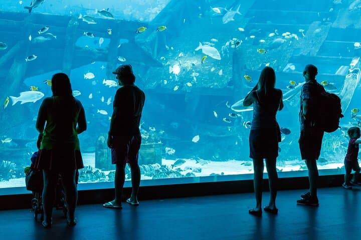 Antalya Aquarium: Skip-the-Line Tickets with Optional Alanya Transfer photo 2