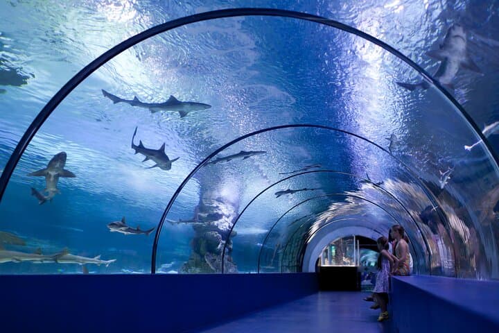 Antalya Aquarium: Skip-the-Line Tickets with Optional Alanya Transfer photo 4