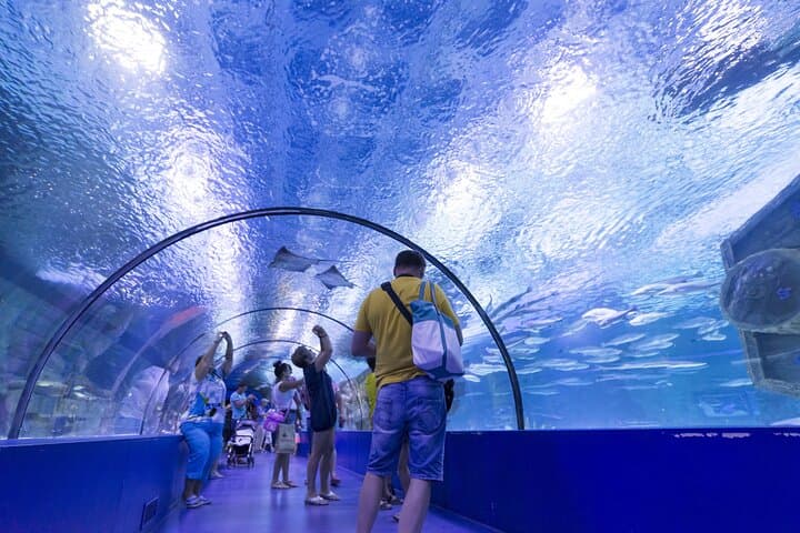 Antalya Aquarium: Skip-the-Line Tickets with Optional Alanya Transfer photo 3