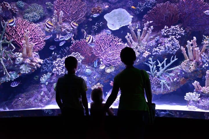 Antalya Aquarium: Skip-the-Line Tickets with Optional Alanya Transfer photo 5