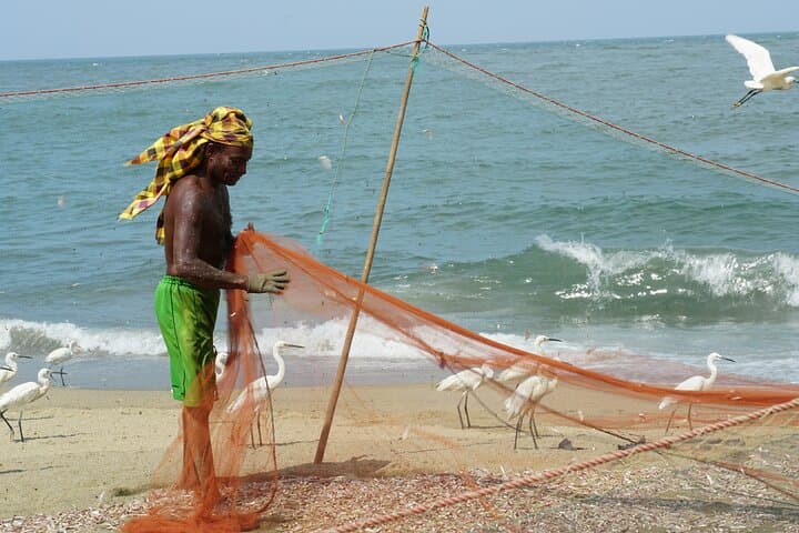 Negombo Half-Day: Fish Market, Dutch Canal & Ayurvedic Massage photo 3