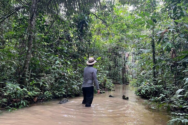 Amazonas Jungle Birdwatching Day Tour: Full-Day Birding in the Colombian Amazon