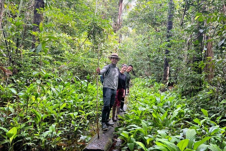 Amazonas Jungle Birdwatching Day Tour: Full-Day Birding in the Colombian Amazon photo 4