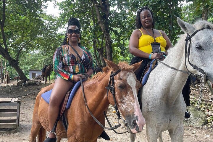 Dunns River Falls and Beach Horseback Ride from Montego Bay photo 3