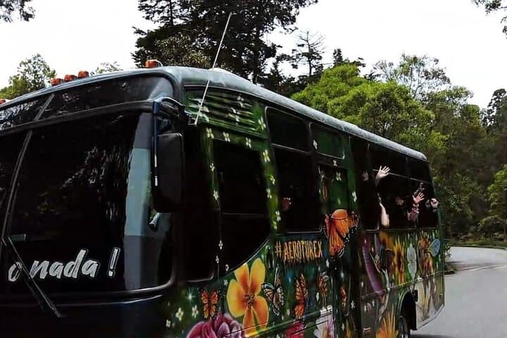 Medellín's Arví Park: Flower-Farm Silletero Tour & Mountain Lunch photo 6