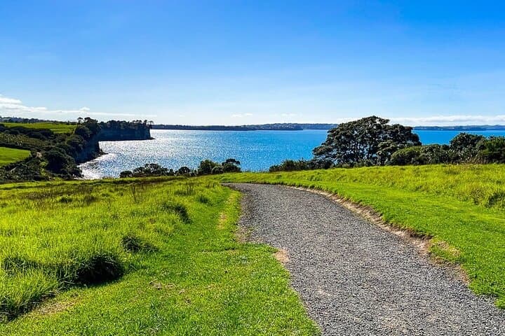 Auckland North Shore Hidden Gems: Shakespear, Long Bay & Takapuna Day Tour photo 4