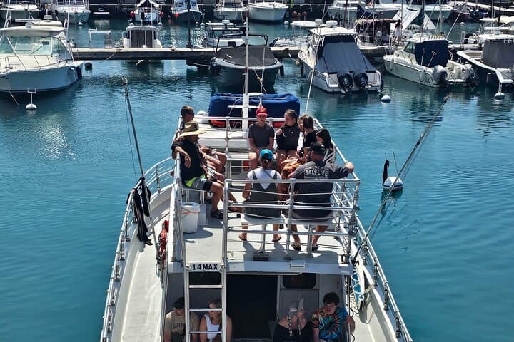Experience Guaranteed Whale Watching in Kona: Your Ultimate Guide to Humpback Encounters photo 2