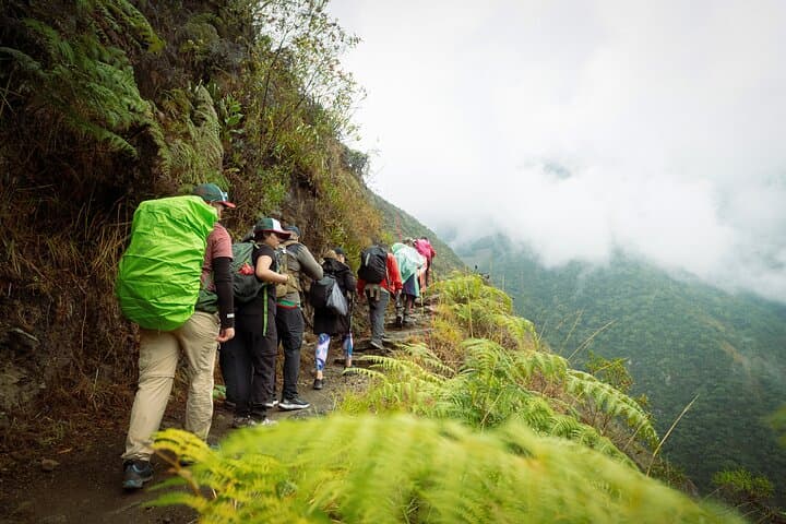Short Inca Trail to Machu Picchu: 2-Day Guided Trek from Cusco photo 3