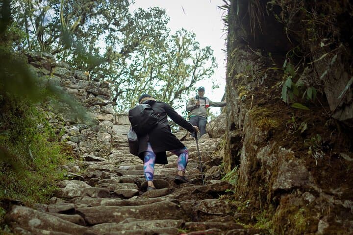 Short Inca Trail to Machu Picchu: 2-Day Guided Trek from Cusco photo 6