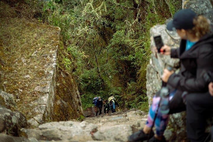 Short Inca Trail to Machu Picchu: 2-Day Guided Trek from Cusco photo 5