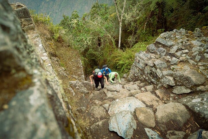 Short Inca Trail to Machu Picchu: 2-Day Guided Trek from Cusco photo 4