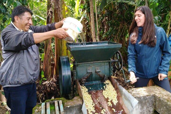 Minca Hidden Waterfall Tour: Coffee, Cocoa & Cascada Escondida Day Trip photo 6