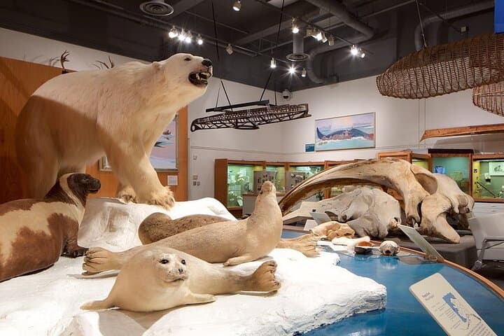 Fairbanks Top City Highlights Tour: Insider Summer & Fall Highlights photo 2