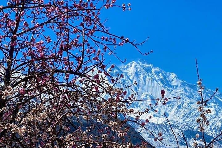 Hunza Cherry Blossom Tour: 13-Day Northern Pakistan Spring Adventure photo 4