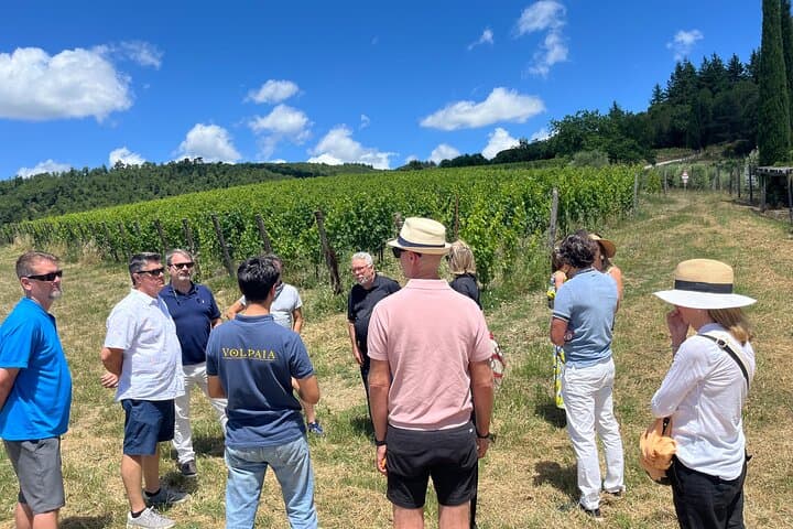 Chianti Wine District Day Trip: Castles, Vineyards & Montefioralle from Florence photo 5