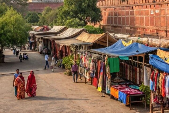 Taj Mahal and Agra Wonders: Day Trip from Delhi to Taj, Agra Fort & Baby Taj photo 3