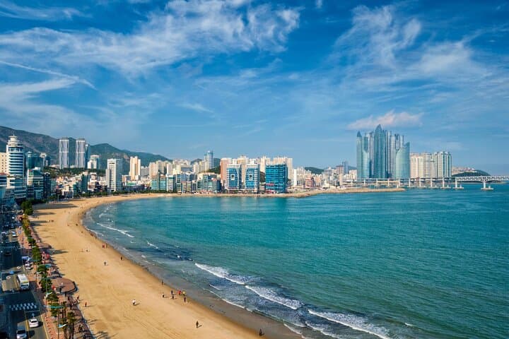 Busan Cherry Blossom & Top Attractions City Tour — Spring Sights and Coastal Views photo 3