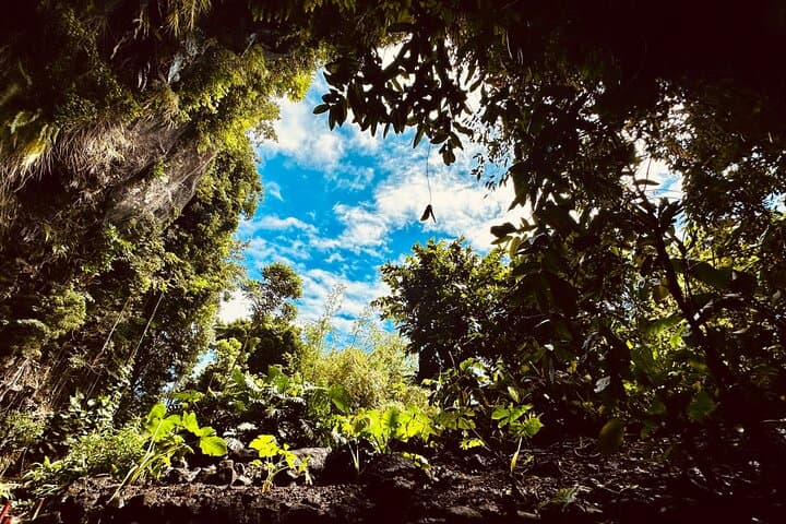 Half-Day Discover Tahiti Nui: Island Tour to Waterfalls, Marae & Pointe Venus photo 1