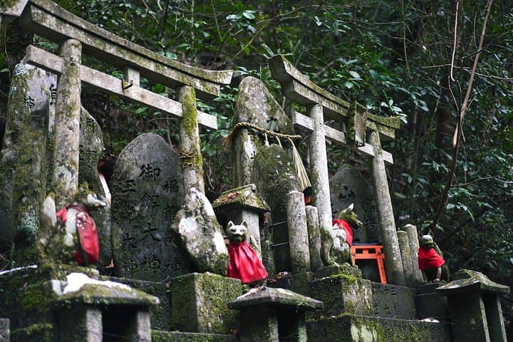 One-Day Kyoto & Nara Highlights: Private Car Cultural Tour photo 5