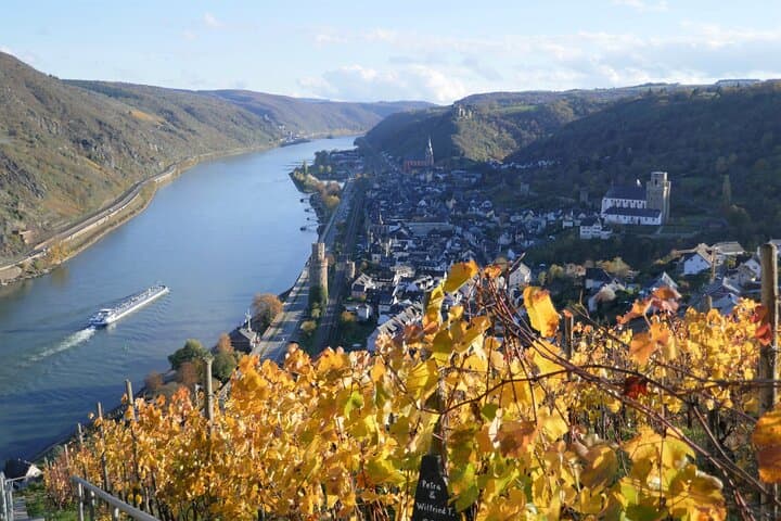 Koblenz to the Upper Middle Rhine Valley: Castles, Vineyards & River Views photo 2
