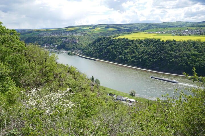 Koblenz to the Upper Middle Rhine Valley: Castles, Vineyards & River Views photo 6