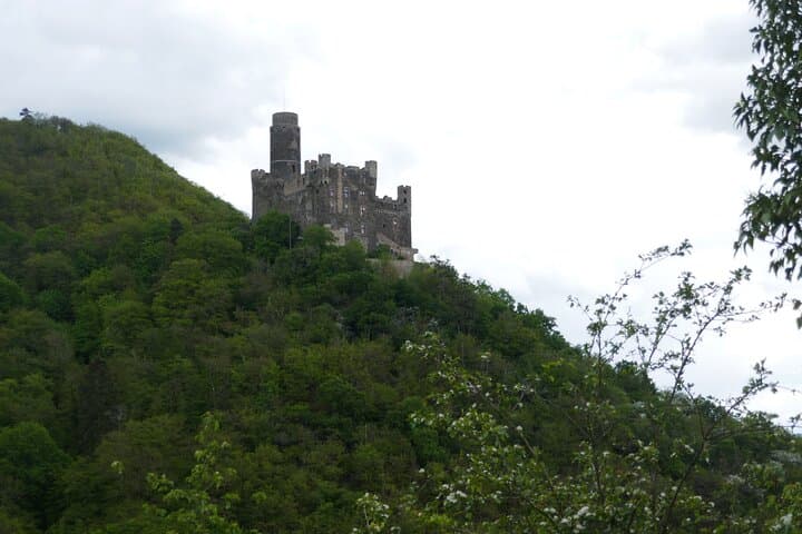 Koblenz to the Upper Middle Rhine Valley: Castles, Vineyards & River Views photo 5