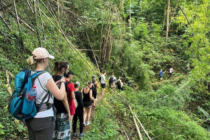 Chiang Rai Jungle Trek & Bamboo Cooking: Pa Soert Hot Spring to Waterfall Day Hike photo 2
