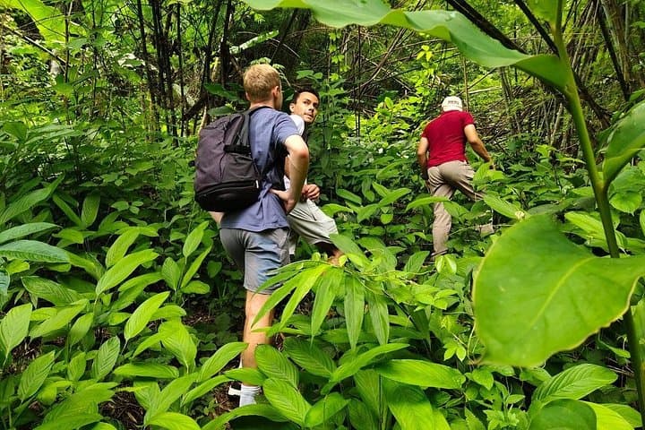 Chiang Rai Jungle Trek & Bamboo Cooking: Pa Soert Hot Spring to Waterfall Day Hike photo 1
