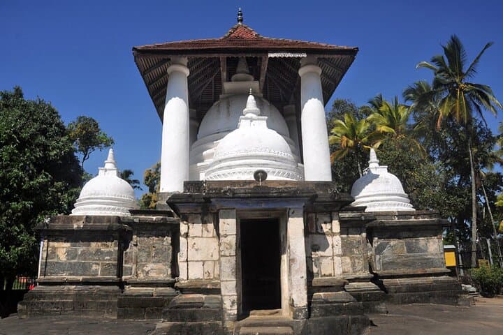 Peradeniya Botanical Garden & Three Temple Day Tour from Kandy photo 2