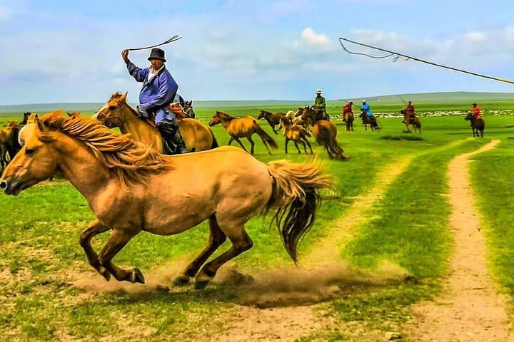 12-Day Mongolia Family Tour: Wild Horses, Gobi Dunes & Ger Camp Life photo 6