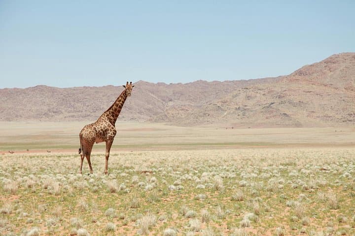 3-Day Private Mara Migration Safari: Luxury Game Drives & Maasai Culture photo 3