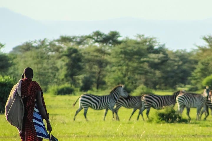 3-Day Private Mara Migration Safari: Luxury Game Drives & Maasai Culture photo 4