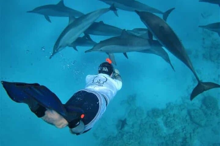 Private Full-Day Hurghada Boat Trip: Snorkel Reefs & Swim With Dolphins photo 5