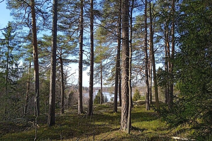 Sipoo Biodynamic Farm Visit: Forest Walk & Farm Lunch Near Helsinki