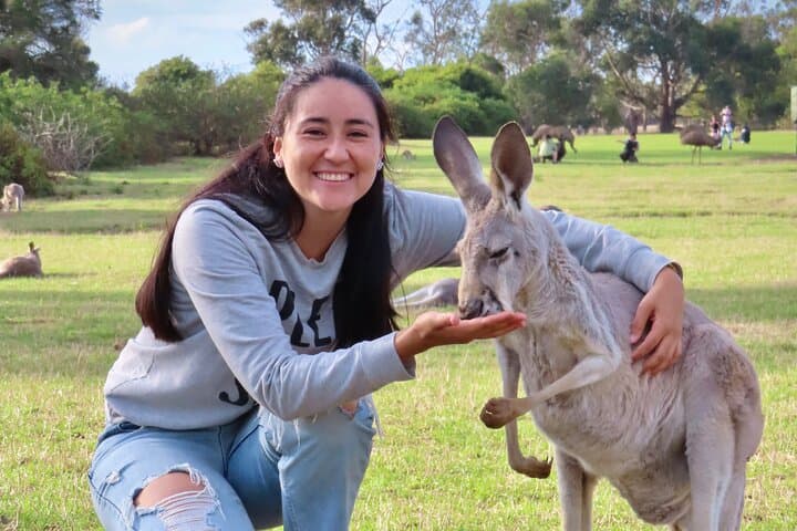 Phillip Island Penguin Parade: Day Tour from Melbourne to See Little Penguins & Coastal Wildlife photo 2